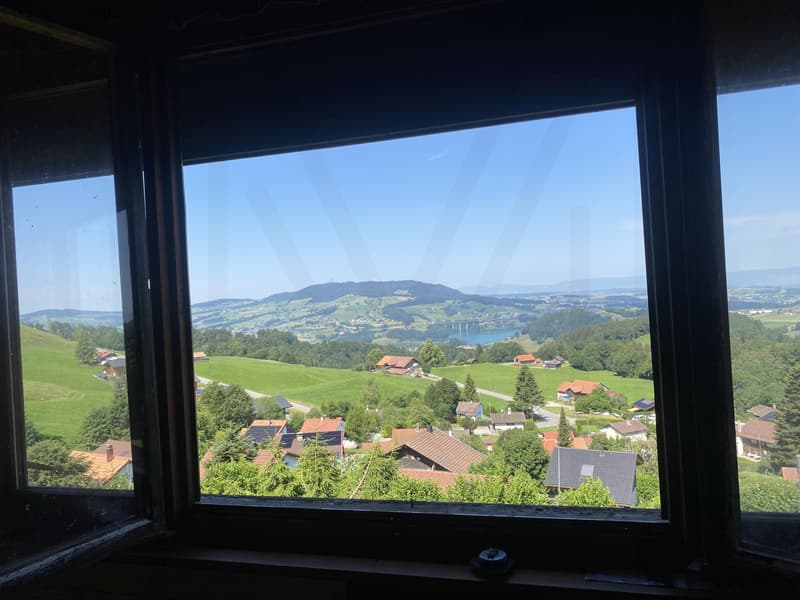 Chalet autentico con vista impareggiabile sul Lago di Gruyère (4)