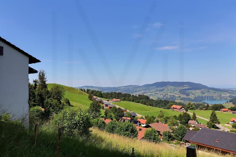 Authentic chalet with breathtaking views of Lac de la Gruyère (3)