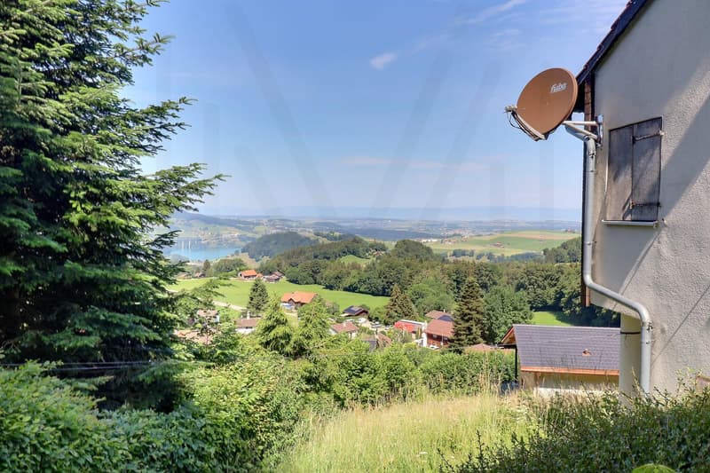 Authentic chalet with breathtaking views of Lac de la Gruyère (5)