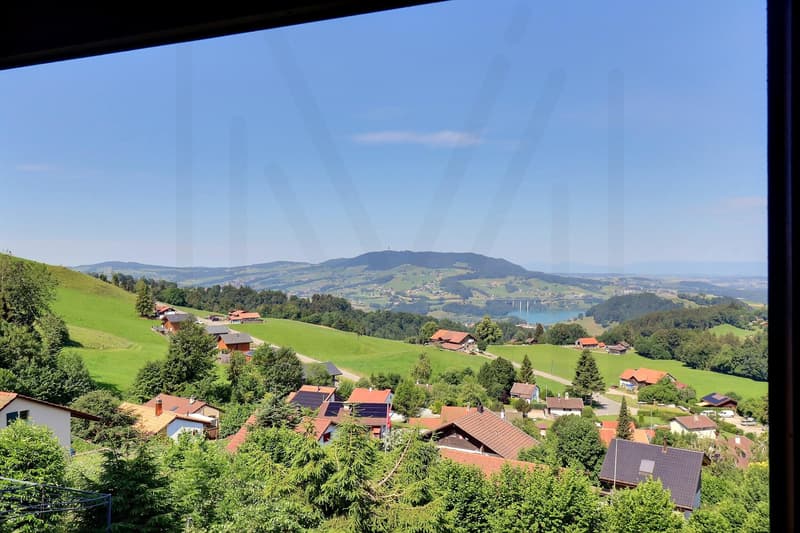 Authentic chalet with breathtaking views of Lac de la Gruyère (1)