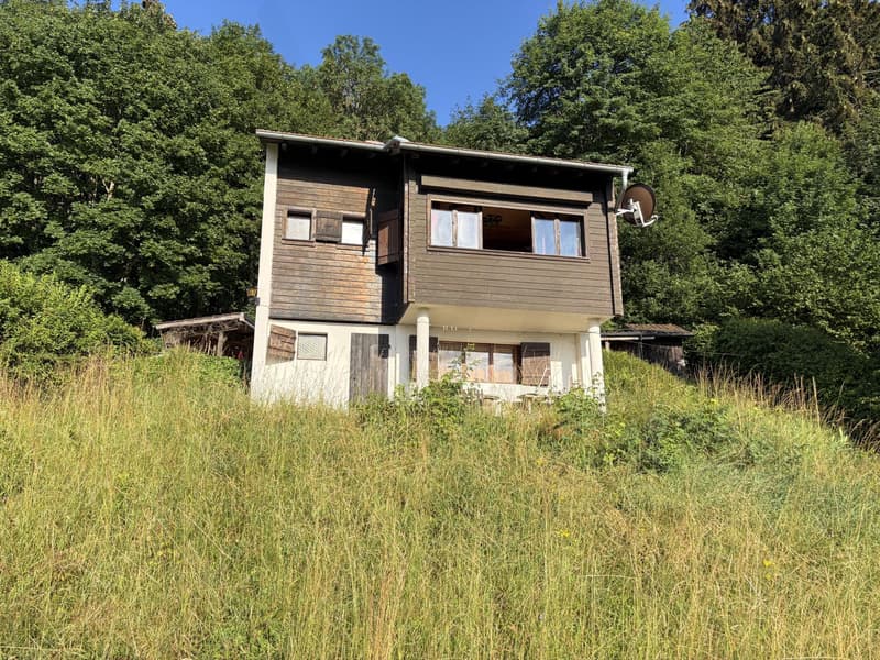 Authentic chalet with breathtaking views of Lac de la Gruyère (13)