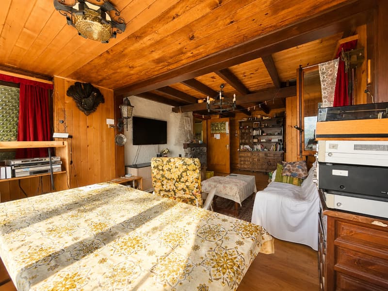 Authentic chalet with breathtaking views of Lac de la Gruyère (4)