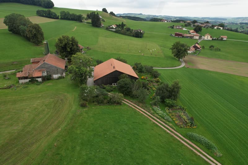 The Art of Country Living! An exceptional farm where authenticity, elegance, and serenity meet! (8)