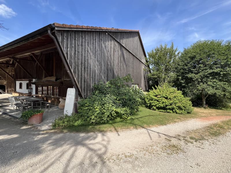 The Art of Country Living! An exceptional farm where authenticity, elegance, and serenity meet! (12)