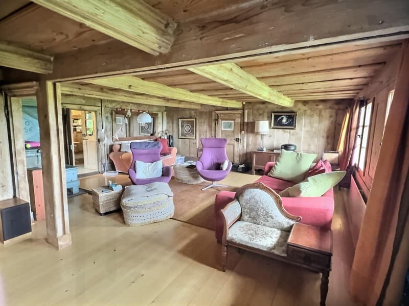 The Art of Country Living! An exceptional farm where authenticity, elegance, and serenity meet! (10)