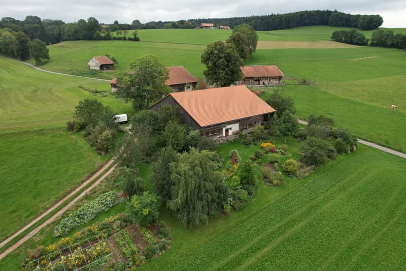 The Art of Country Living! An exceptional farm where authenticity, elegance, and serenity meet! (3)