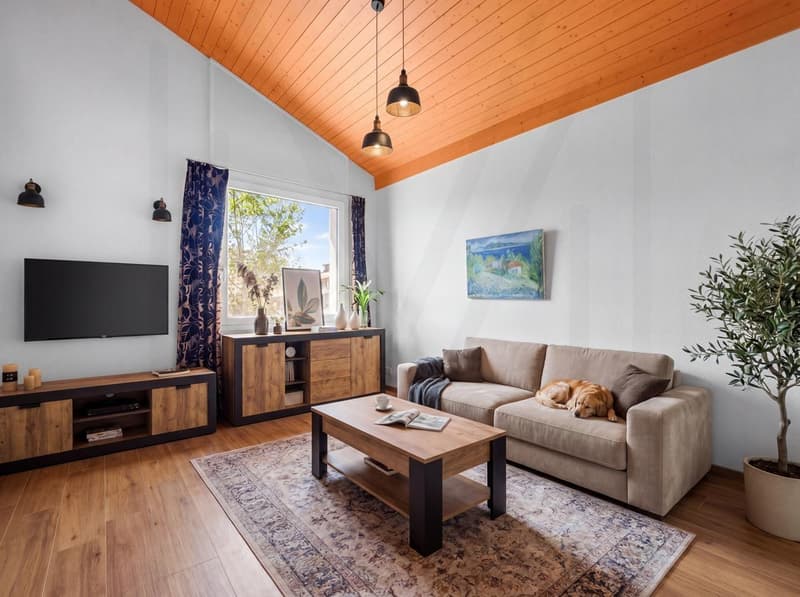 Large modular architect's house, designed for one or two independent homes. (13)