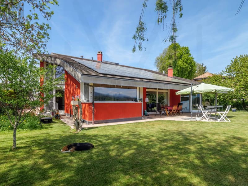 Large modular architect's house, designed for one or two independent homes. (3)