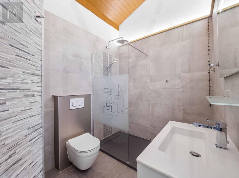 Large modular architect's house, designed for one or two independent homes. (9)