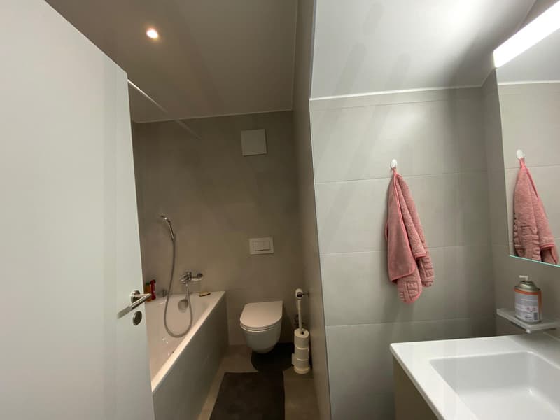 Magnifique appartement 4,5 pièces au 1er étage (9)
