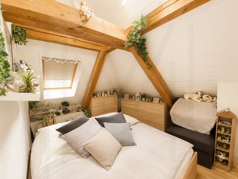 Appartement 2,5 pièces sous les combles (3)