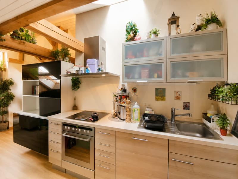 Appartement 2,5 pièces sous les combles (1)