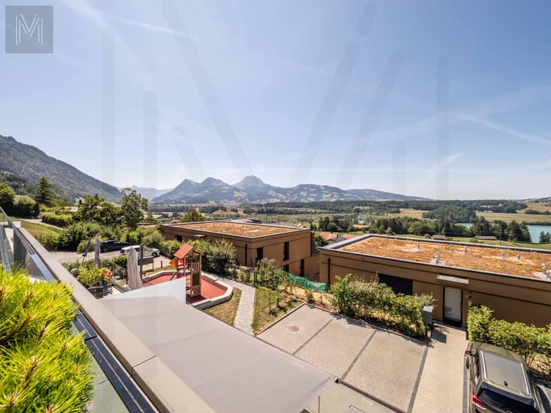 Appartement en terrasse d'exception ? Une alliance parfaite entre élégance, panorama et qualité de vie (1)