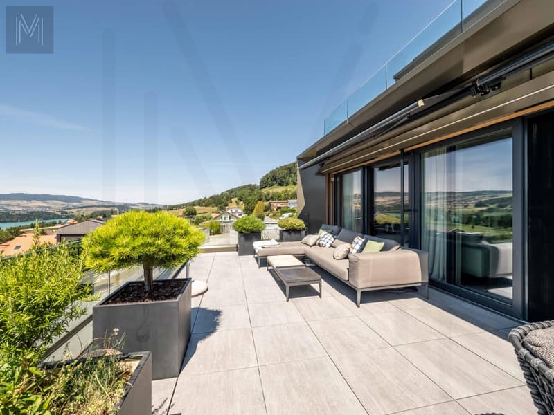 Appartement en terrasse d'exception ? Une alliance parfaite entre élégance, panorama et qualité de vie (3)