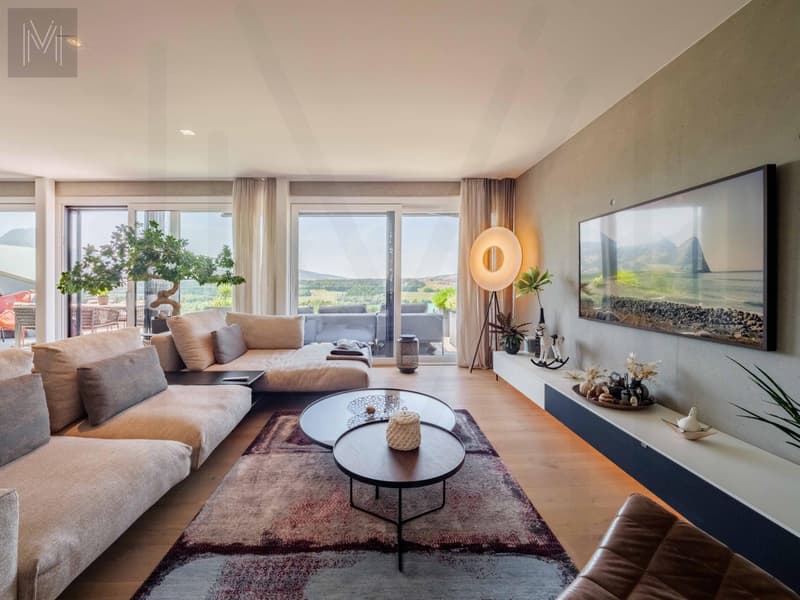Appartement en terrasse d'exception ? Une alliance parfaite entre élégance, panorama et qualité de vie (9)