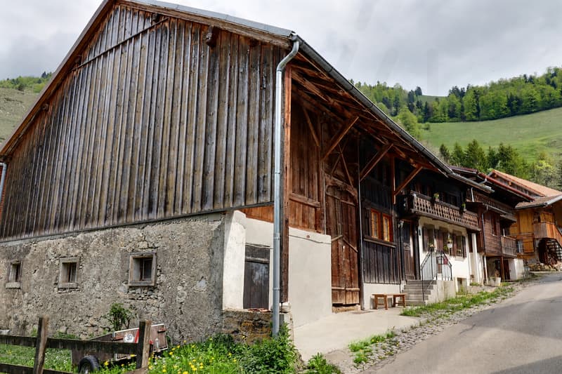 maison villageoise 5.5 p. avec grange et potentiel d'agrandissement (10)