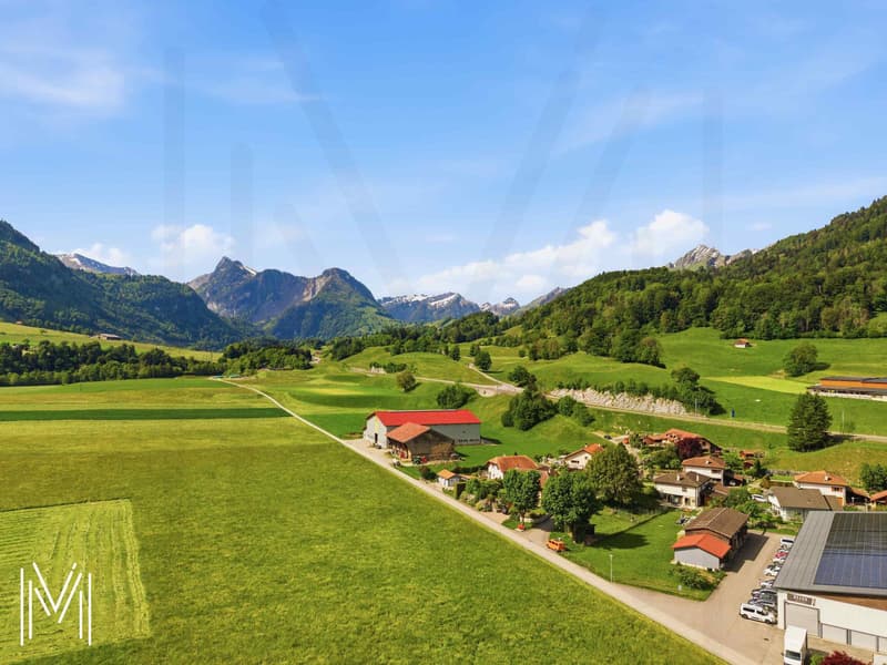appartement haut de gamme 3.5 pièces - neuf - au coeur de l'Intyamon (12)