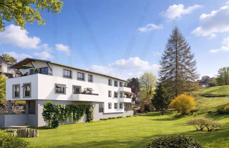 Superbe appartement résidentiel de 3,5 pièces (1)