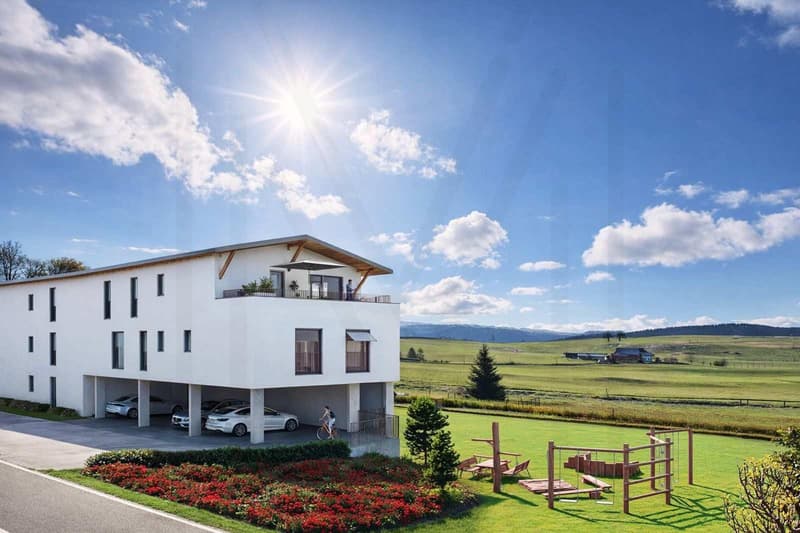 Superbe appartement résidentiel de 3,5 pièces (2)