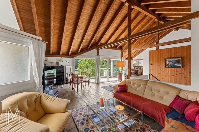 Superbe maison 6,5 pièces avec un dégagement et vue d'exception (5)
