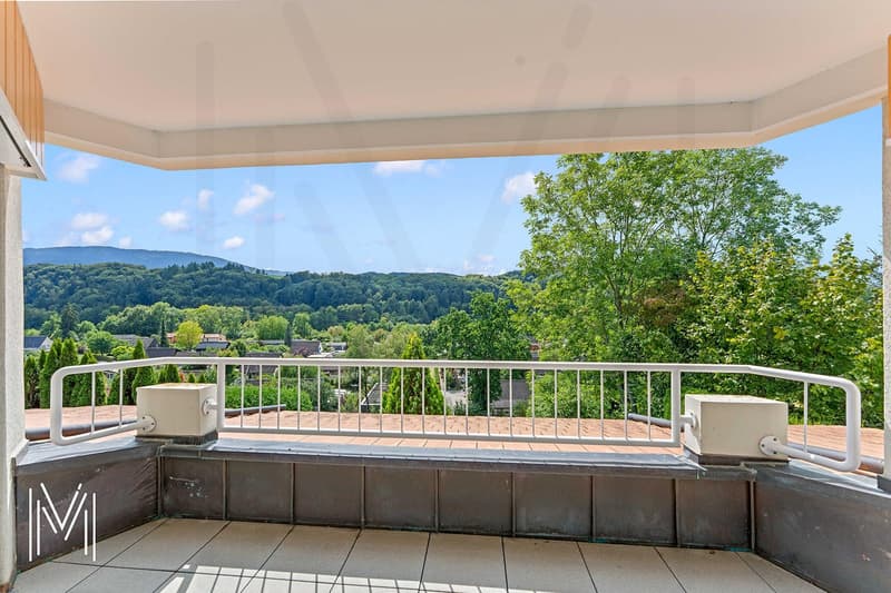 Superbe maison 6,5 pièces avec un dégagement et vue d'exception (10)