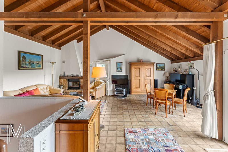 Superbe maison 6,5 pièces avec un dégagement et vue d'exception (4)