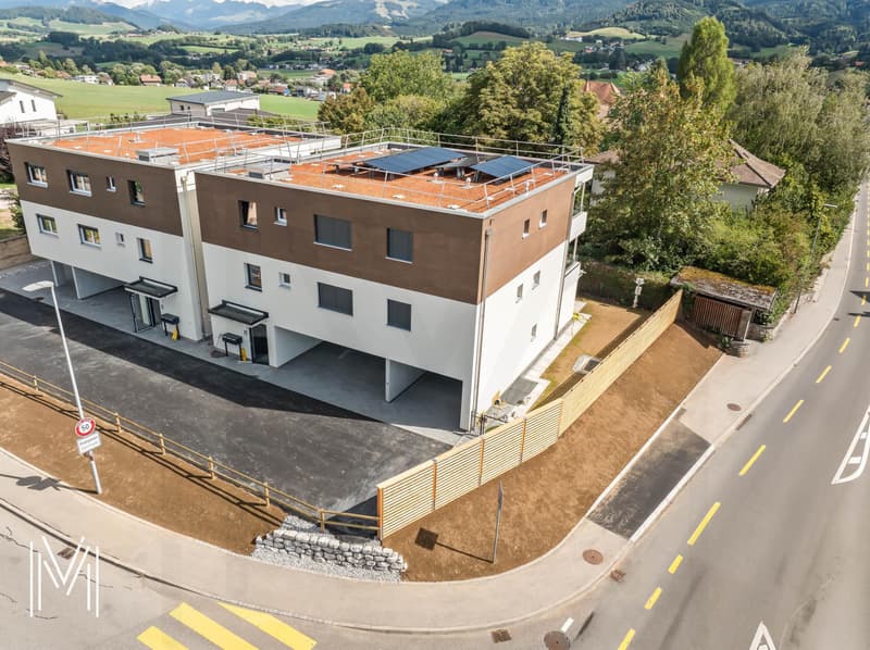 Bel appartement 4,5 pièces au rez-de-jardin (11)