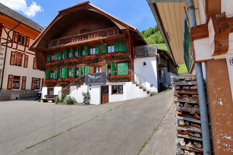 Maison gruérienne avec vue sur les montagnes (1)