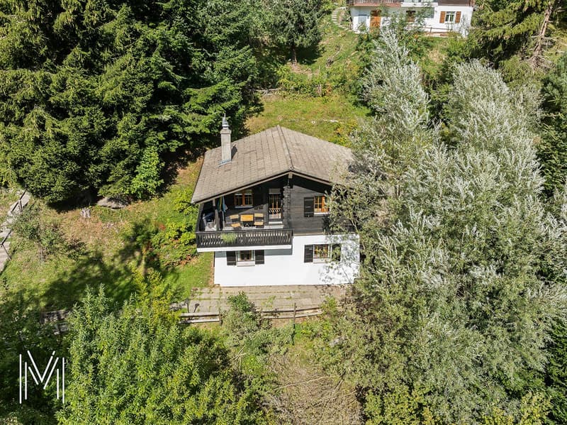 Un havre de paix au pied du Moléson ? Chalet 4.5 pièces au coeur de la nature (1)