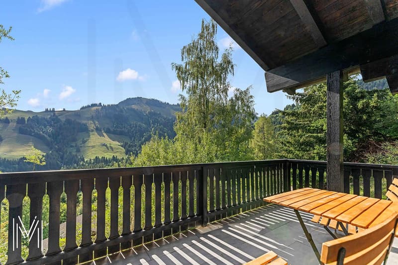 Un havre de paix au pied du Moléson ? Chalet 4.5 pièces au coeur de la nature (9)