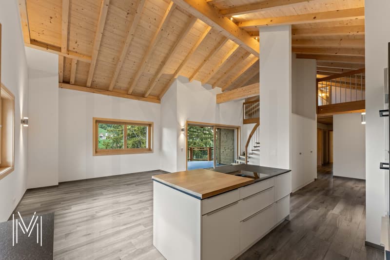 Superbe duplex dans une résidence de 2 logements (2)