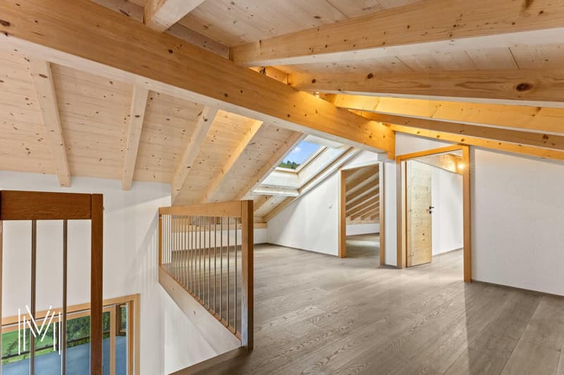 Superbe duplex dans une résidence de 2 logements (8)