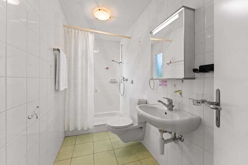 maison individuelle avec potentiel (10)