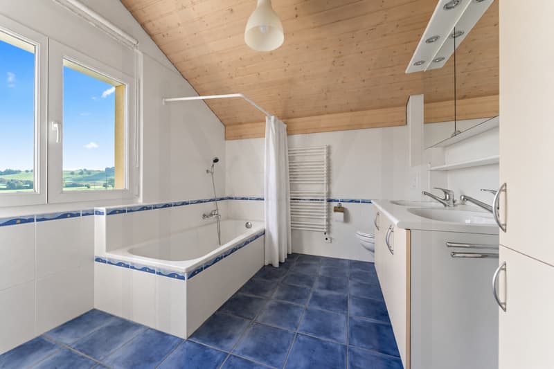 maison individuelle avec potentiel (8)