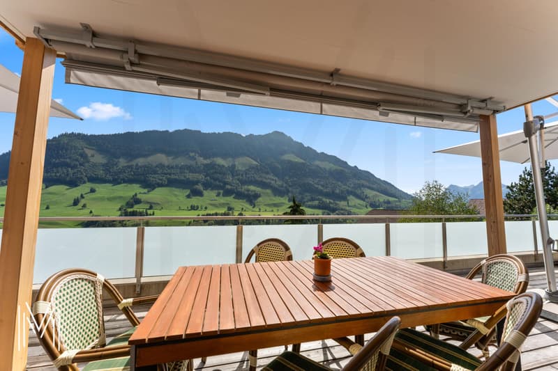 MAGNIFIQUE APPARTEMENT DE 4,5 PIECES AVEC MAGNIFIQUE VUE (12)