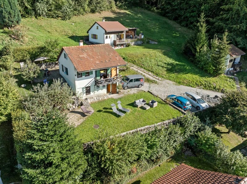 Location à la semaine, chalet de vacance 3,5 pièces (3)