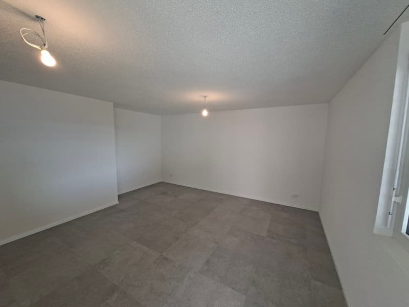Villa 4,5 locali di 115 m2 nuova con studio di 35 m2 (10)