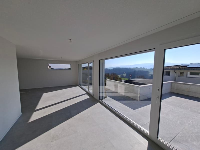 Villa 4,5 locali di 115 m2 nuova con studio di 35 m2 (2)