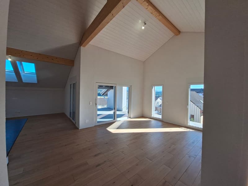 Grand appartement de 4,5 pièces sous les combles et proche de la gare (6)