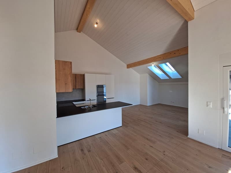 Grand appartement de 4,5 pièces sous les combles et proche de la gare (7)