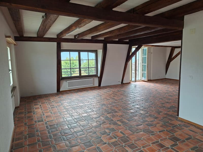 Appartement 4 pièces avec vue imprenable dans la vieille ville (3)