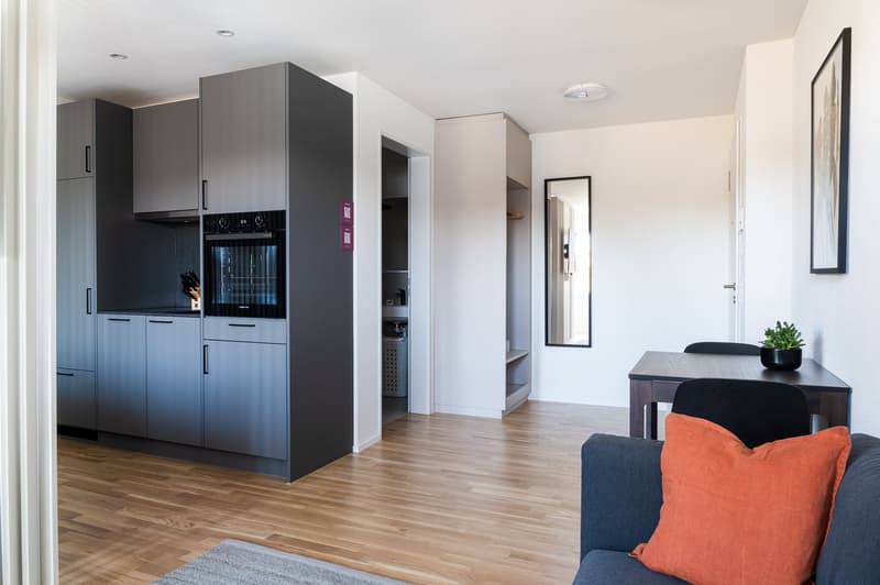 1.5 room apartment - modern studio in the heart of Basel (6)