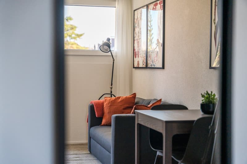 1.5 room apartment - modern studio in the heart of Basel (1)
