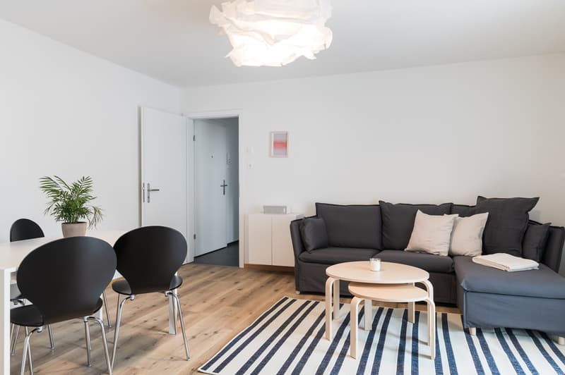 modern apartment, sofa, coffee table, dining table, chairs, wooden floor, lamps, indoor plant, white walls