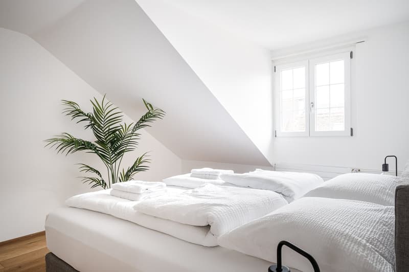 bed, blanket, pillows, plant, window, wooden floor