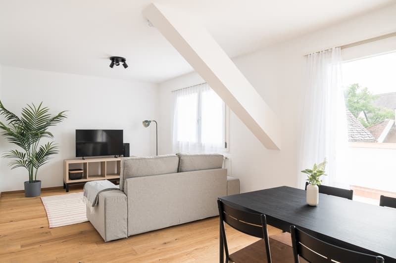 white walls, wooden flooring, sofa, television, dining table, chairs, potted plants, ceiling light