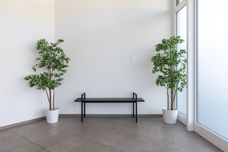 Empty room with white walls and tiled floor, featuring two potted plants and a black bench.