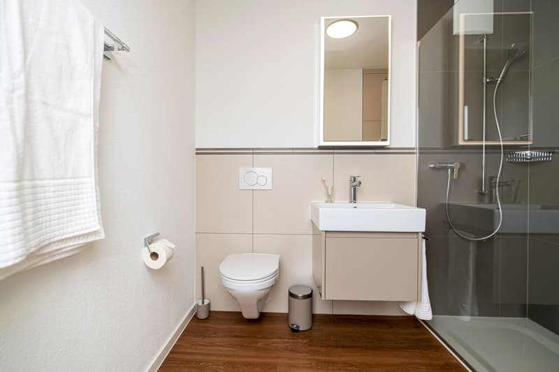 modern bathroom, white toilet, sink, shower stall, wooden floor