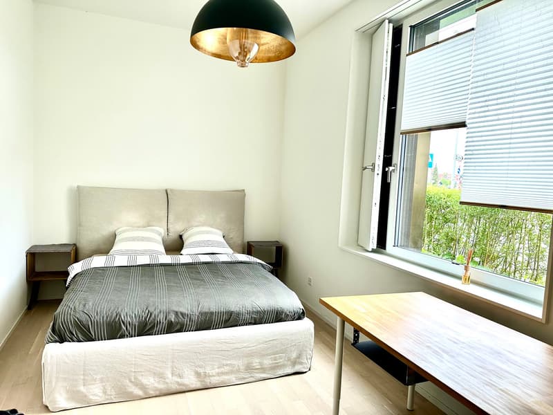 2-room apartment with garden seating in central location in Basel (4)