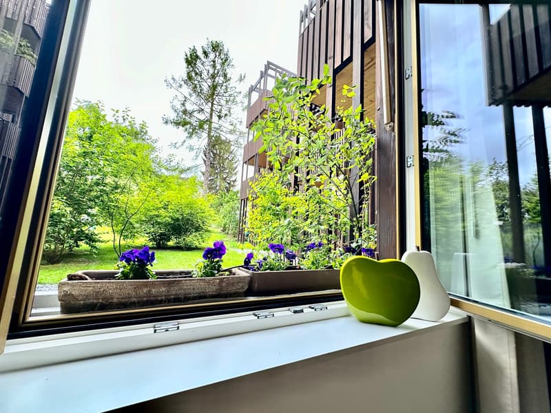 2-room apartment with garden seating in central location in Basel (6)